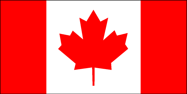 USA Flagge Amerika Flagge